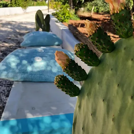 Casa Trullo Bianco: Casa Vicino Aparthotel *