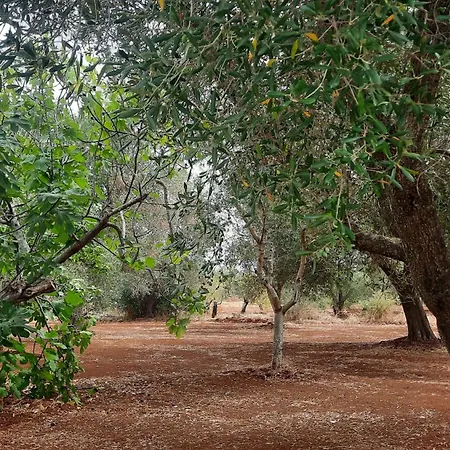 Appart hôtel Casa Trullo Bianco: Casa Vicino Ceglie Messapica