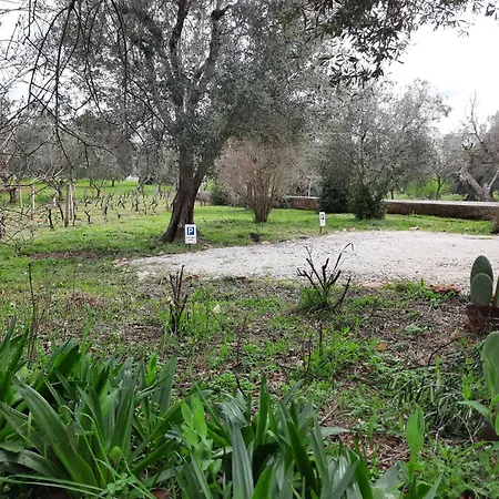 Casa Trullo Bianco: Casa Vicino Ceglie Messapica